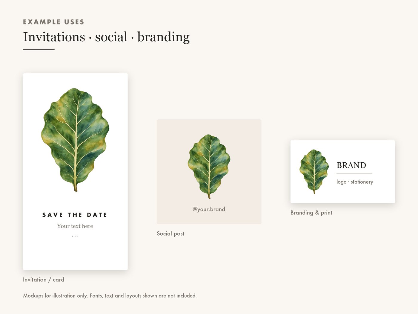 Fiddle Leaf Fig Clipart PNG Transparent Houseplant Art — use cases