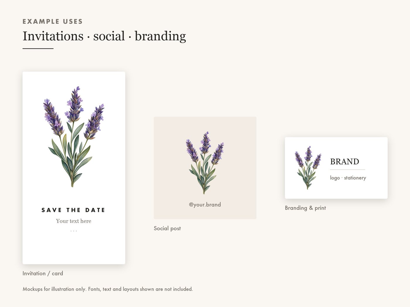 Lavender Sprig Clipart PNG Transparent Botanical — use cases