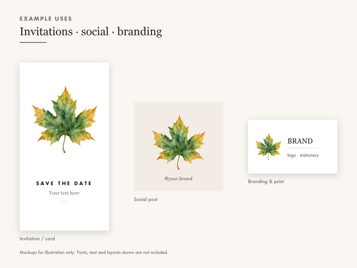 Maple Leaf Clipart PNG, Transparent Autumn Leaf Graphic — use cases