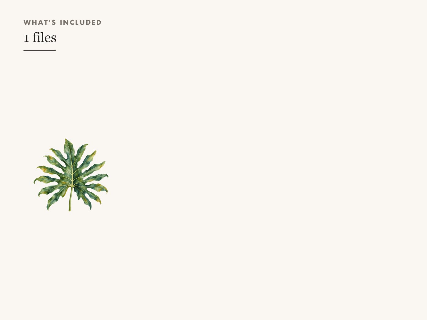 Philodendron Leaf Botanical Clipart PNG — whats included