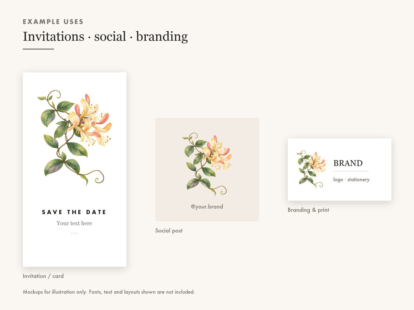 Honeysuckle Vine Clipart PNG Botanical Floral Border — use cases