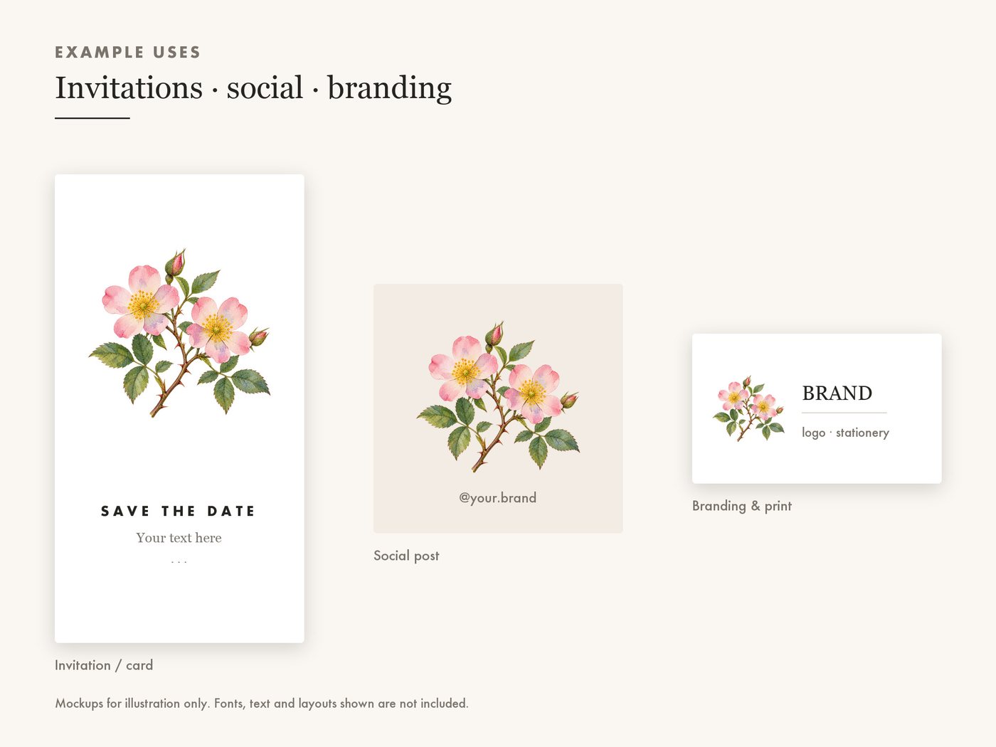 Wild Rose Branch Botanical Clipart PNG Transparent — use cases